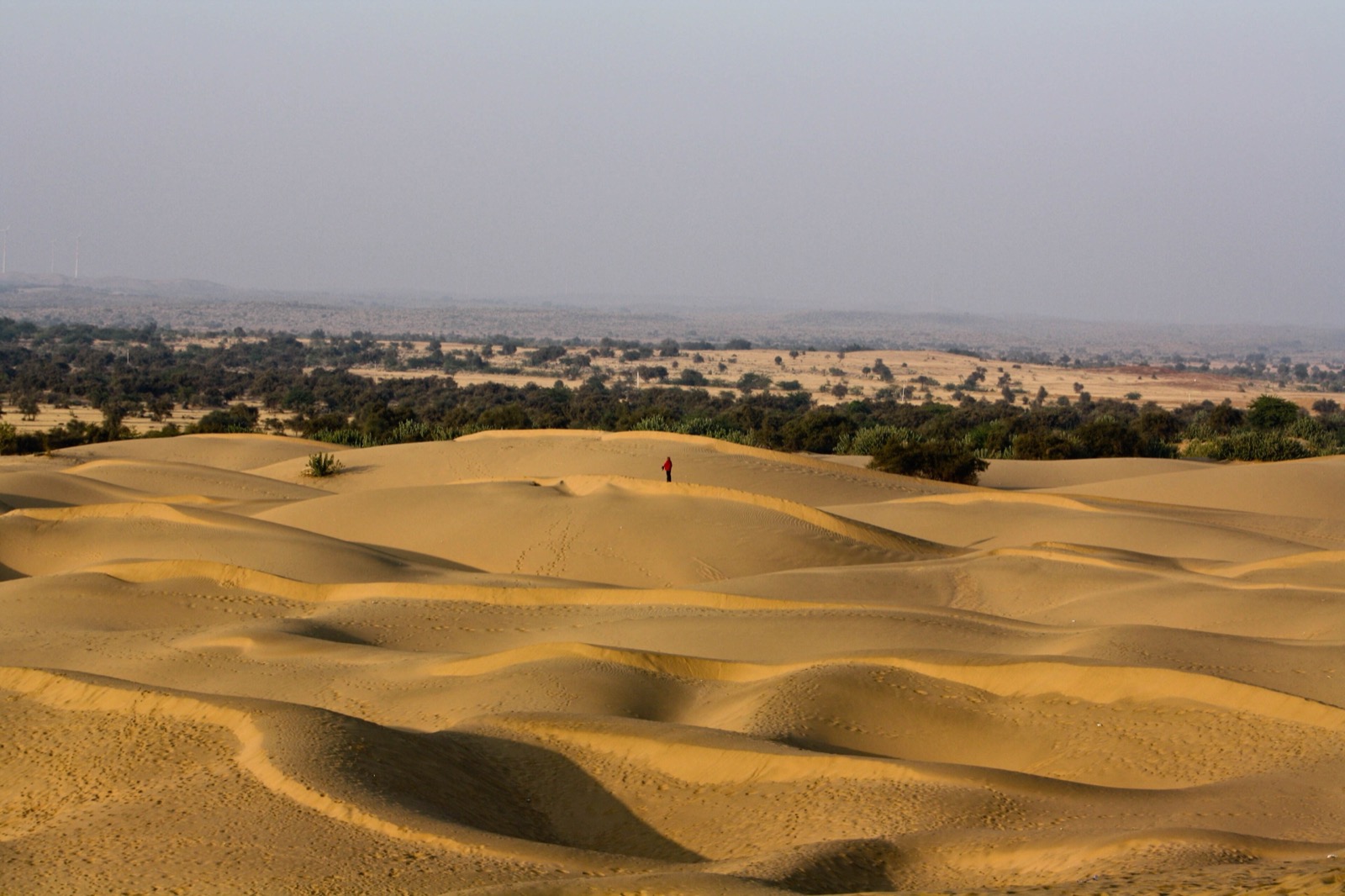 Golden Dunes