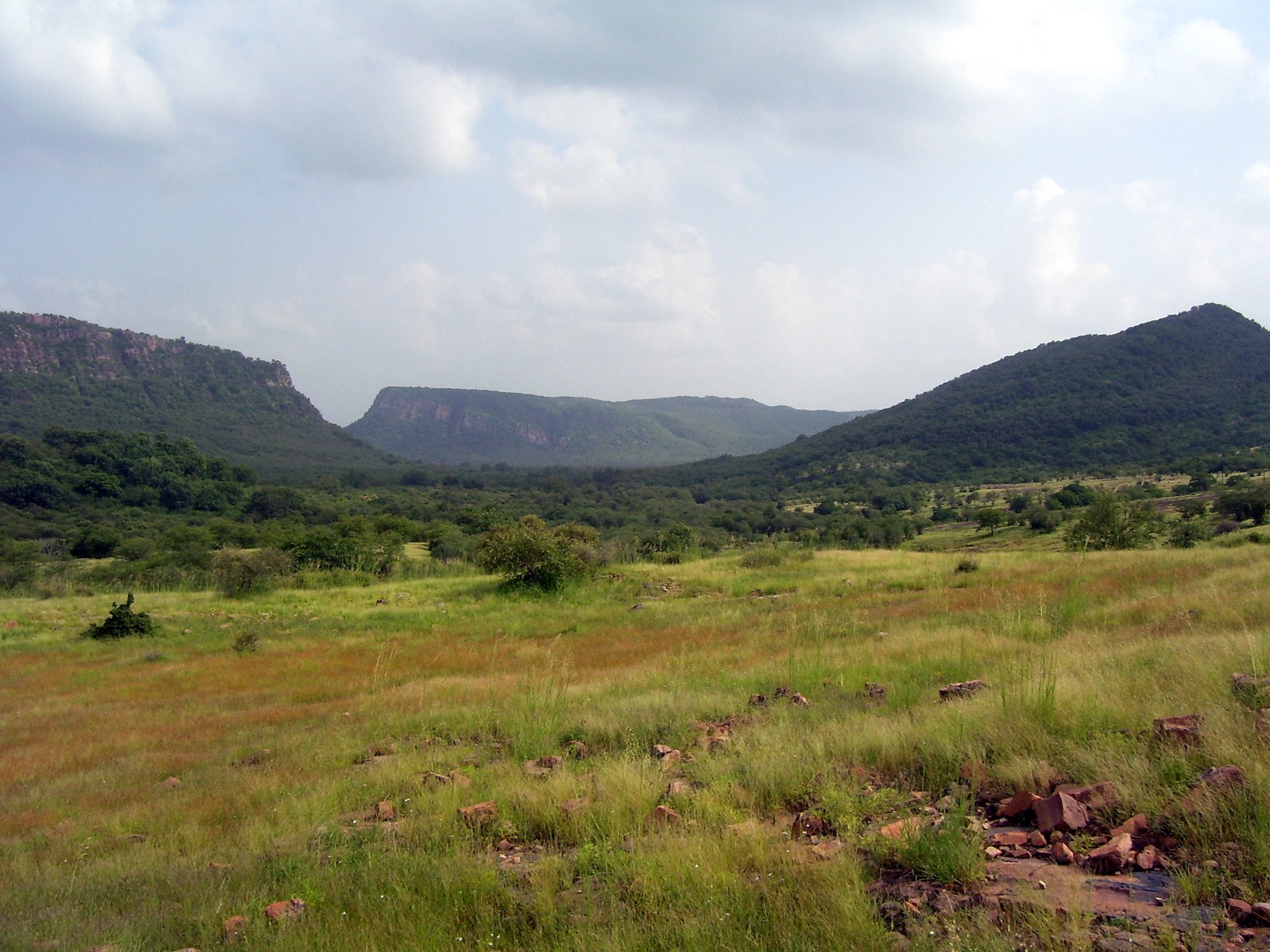 Tiger Reserve